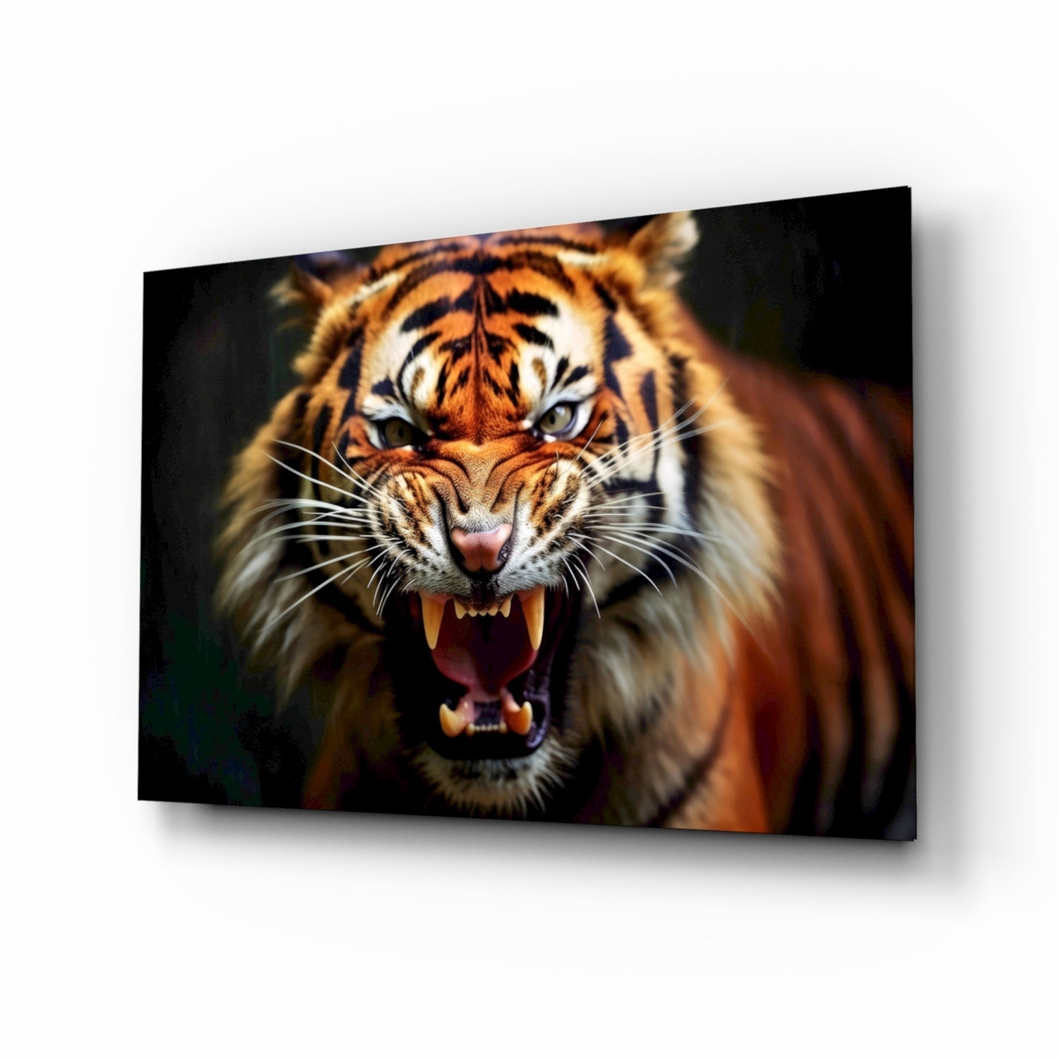 Snarling Fanged Tiger Glass Wall Art
