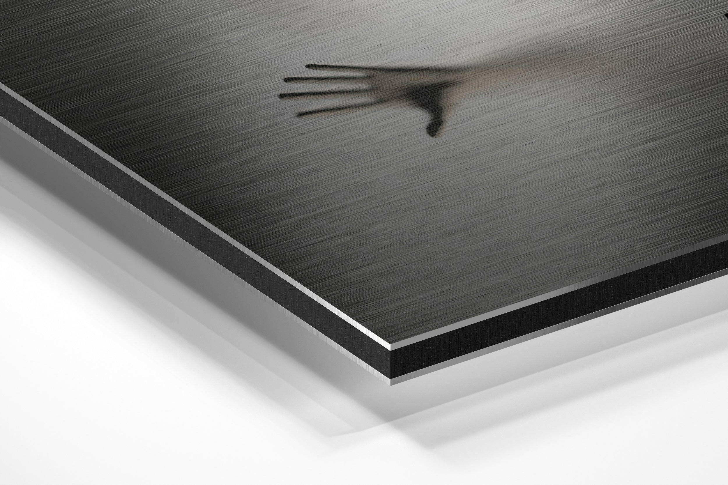 Hands Brushed Aluminium Dibond Wall Art