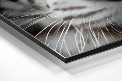 White Tiger Brushed Aluminium Dibond Wall Art