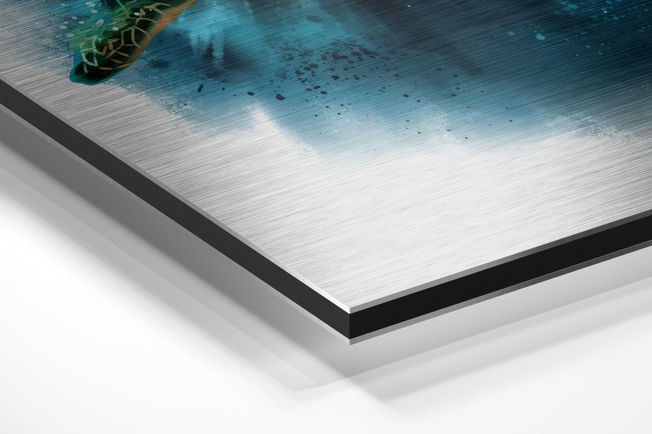 Turtle Brushed Aluminium Dibond Wall Art