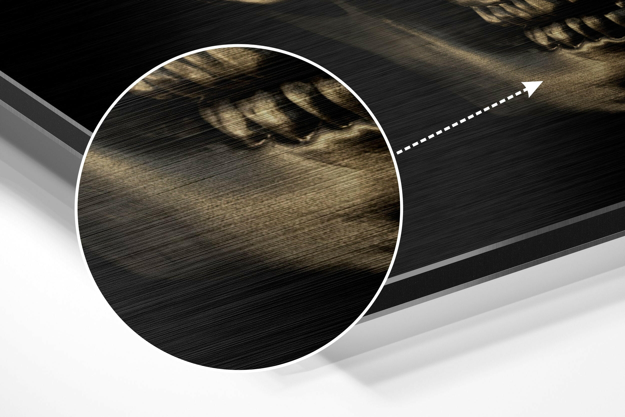 Bronze Skull Brushed Aluminium Dibond Wall Art