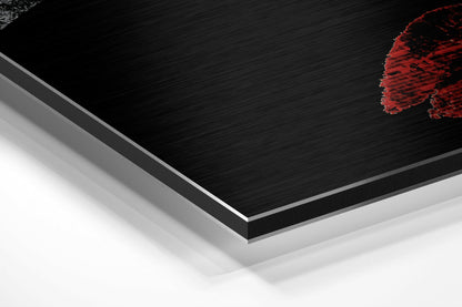 Divided  Brushed Aluminium Dibond Wall Art
