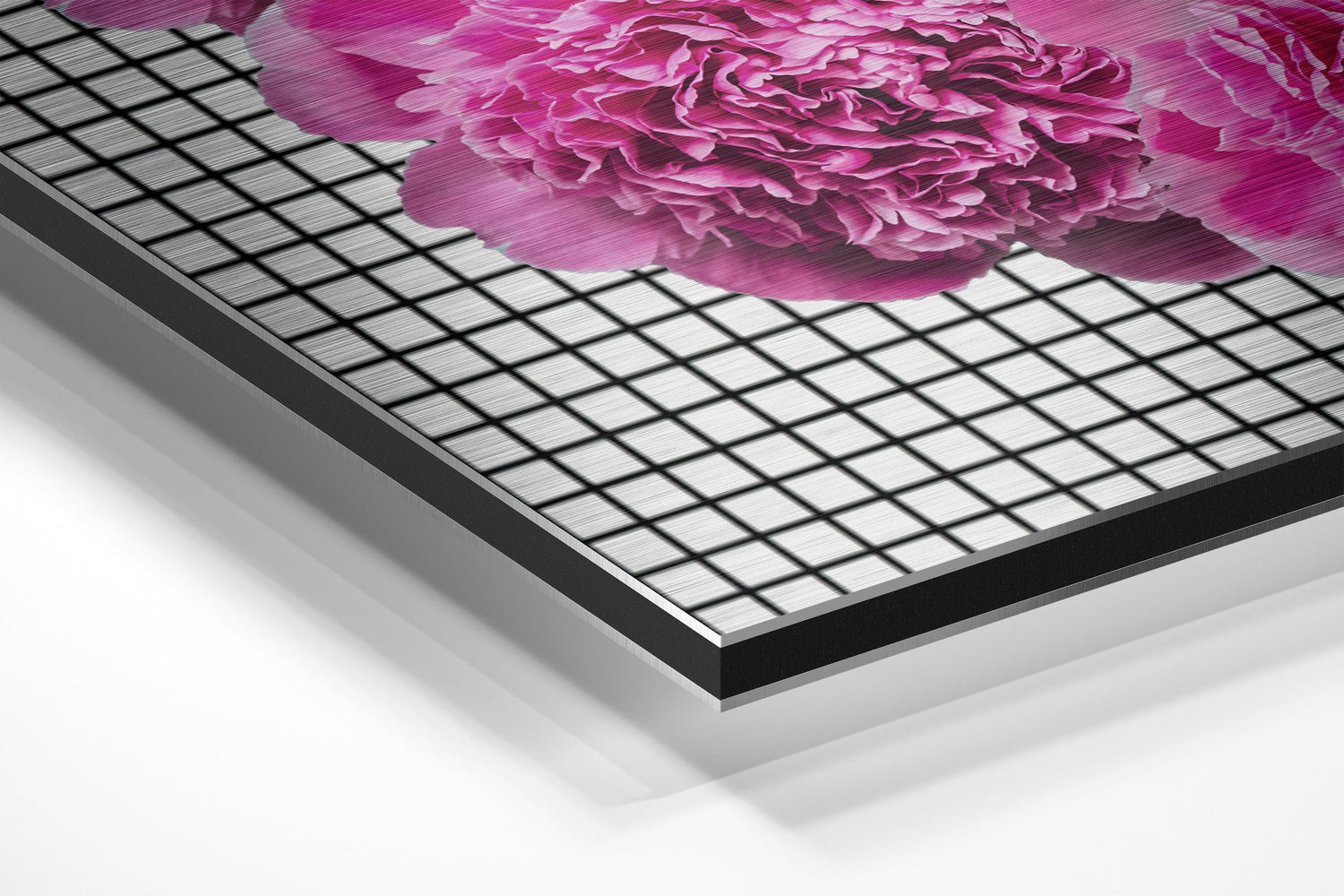 Pink Carnation Hands And Lips Brushed Aluminium Dibond Wall Art