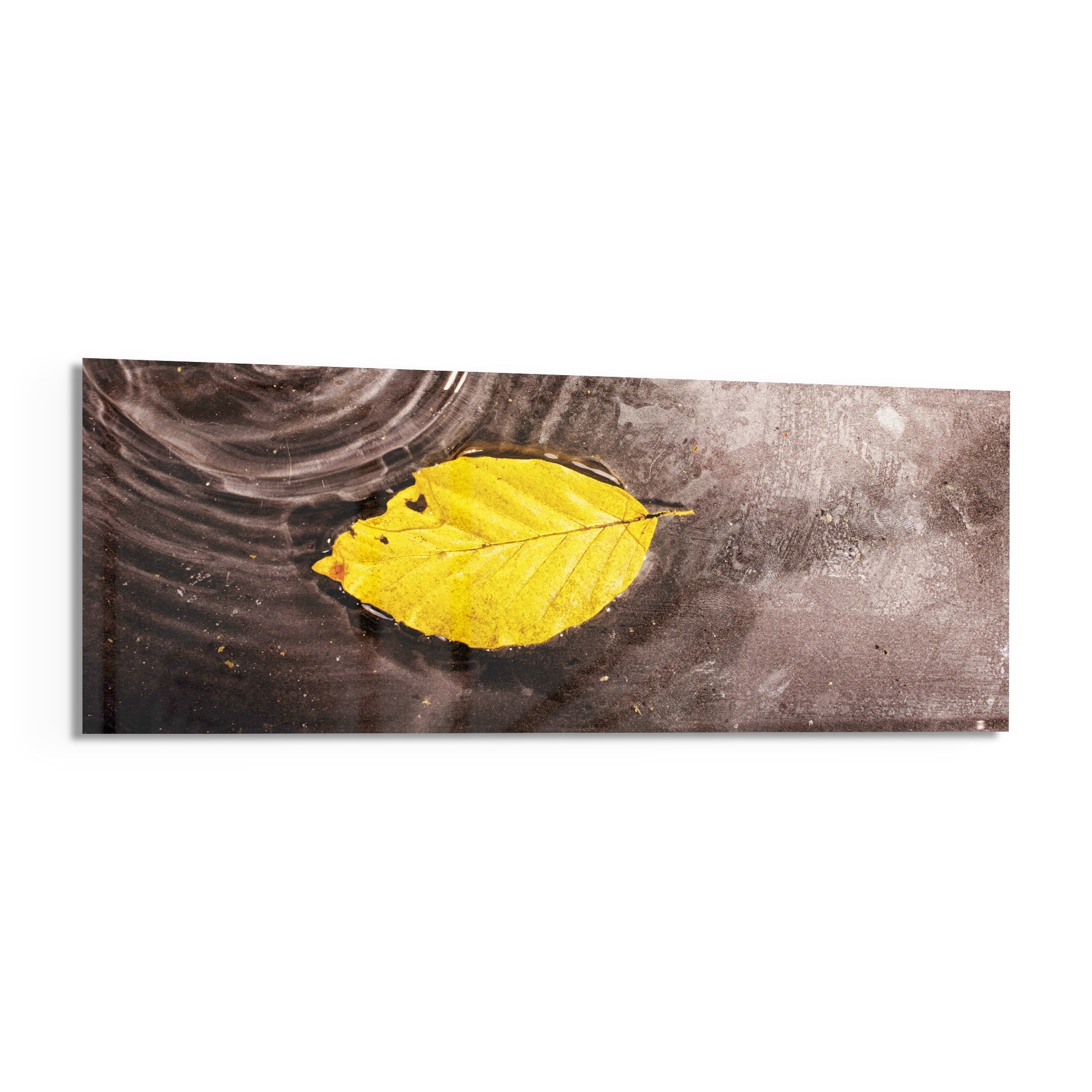 Yellow Leaf Glass Wall Art (36"x14")