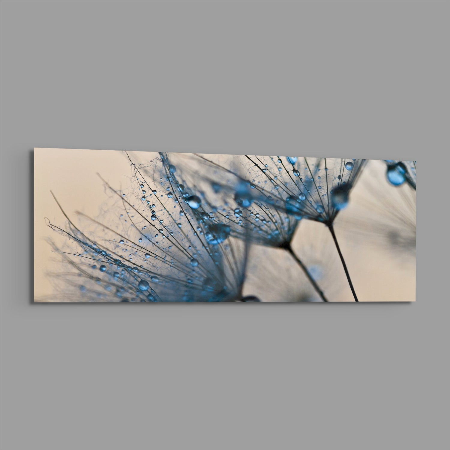 Macro Dandelion Glass Wall Art (36"x14")