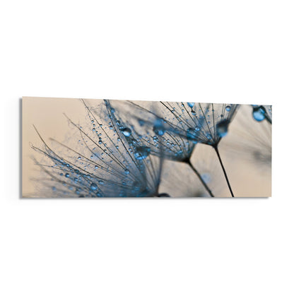 Macro Dandelion Glass Wall Art (36"x14")