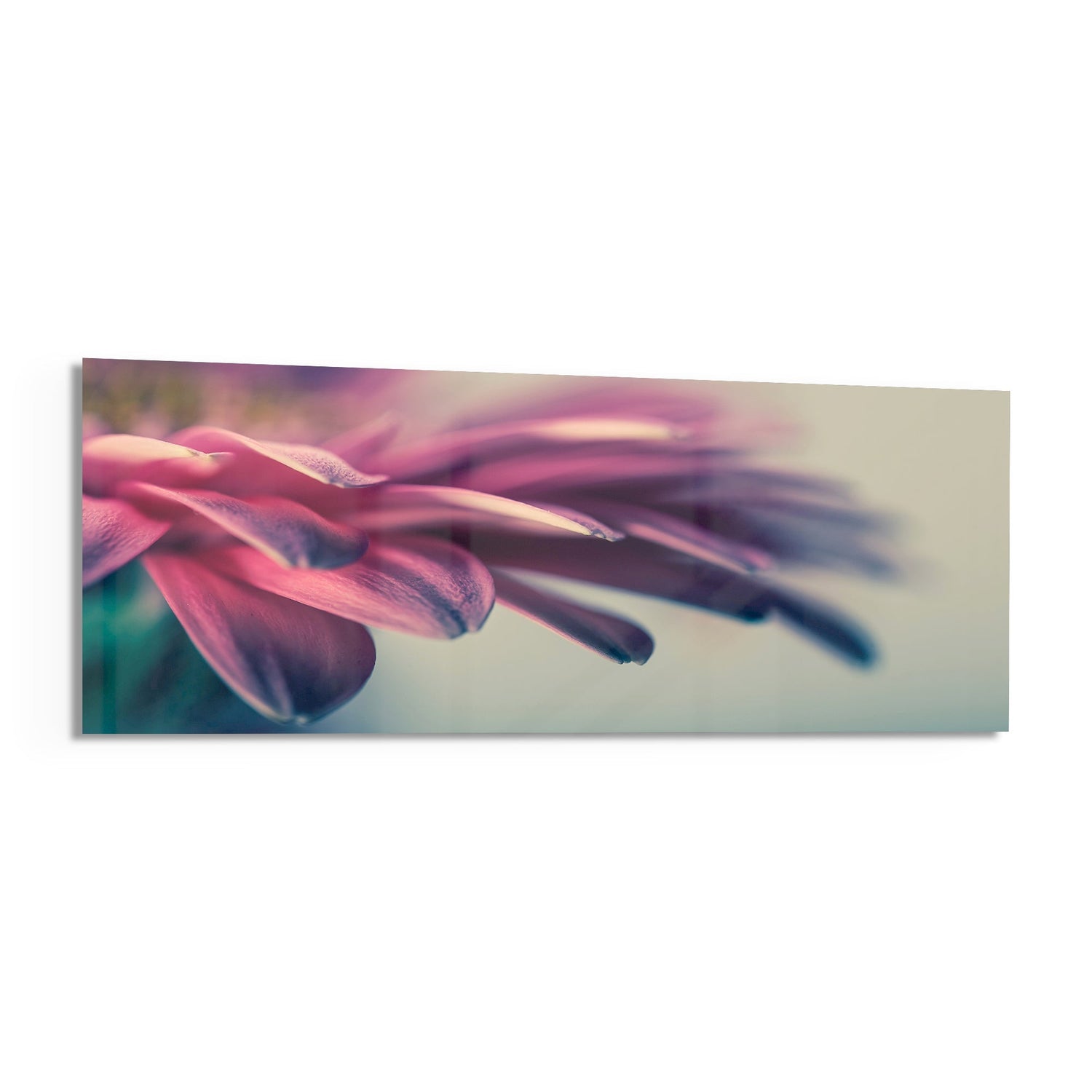 Macro Glass Wall Art (36"x14")