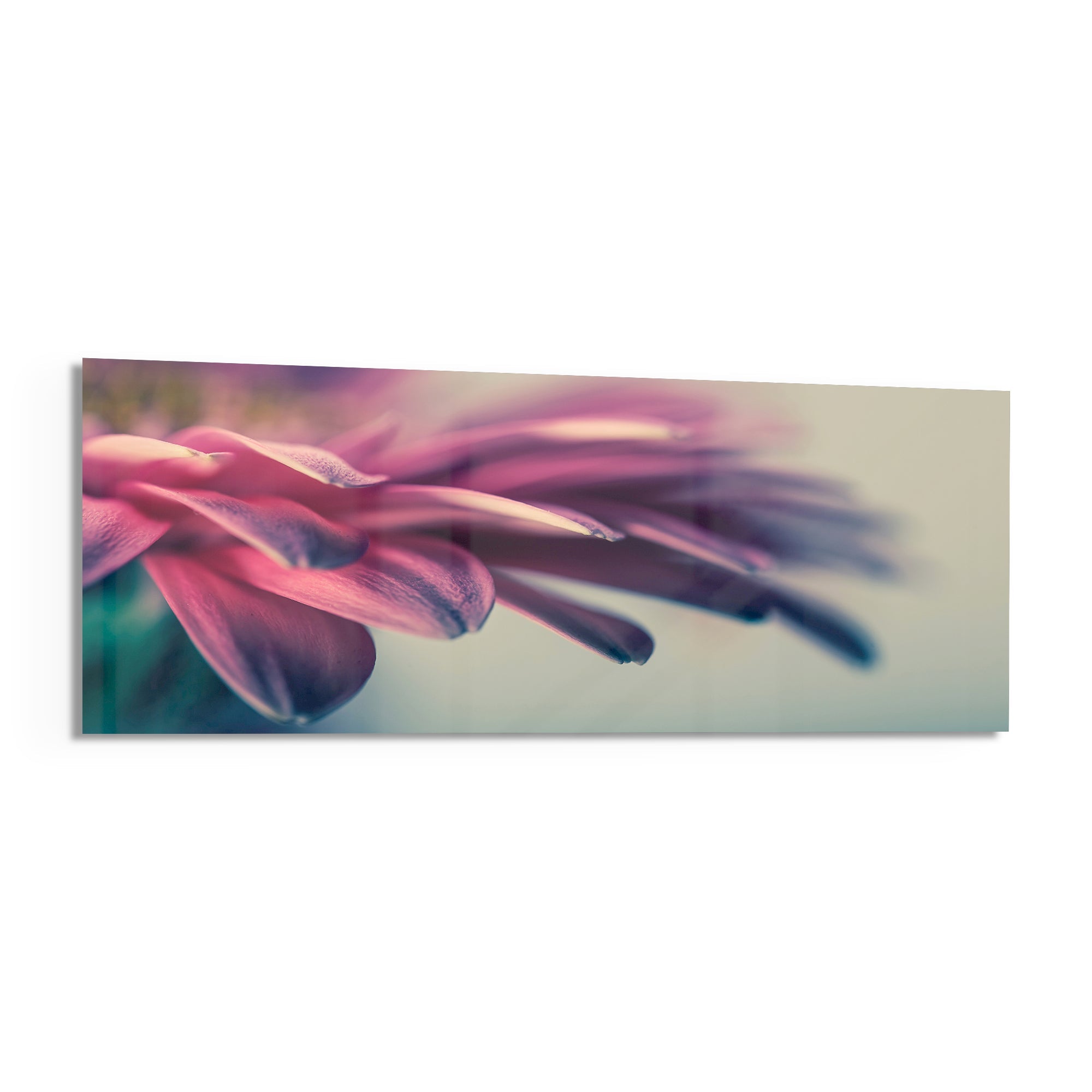 Macro Glass Wall Art (36"x14")