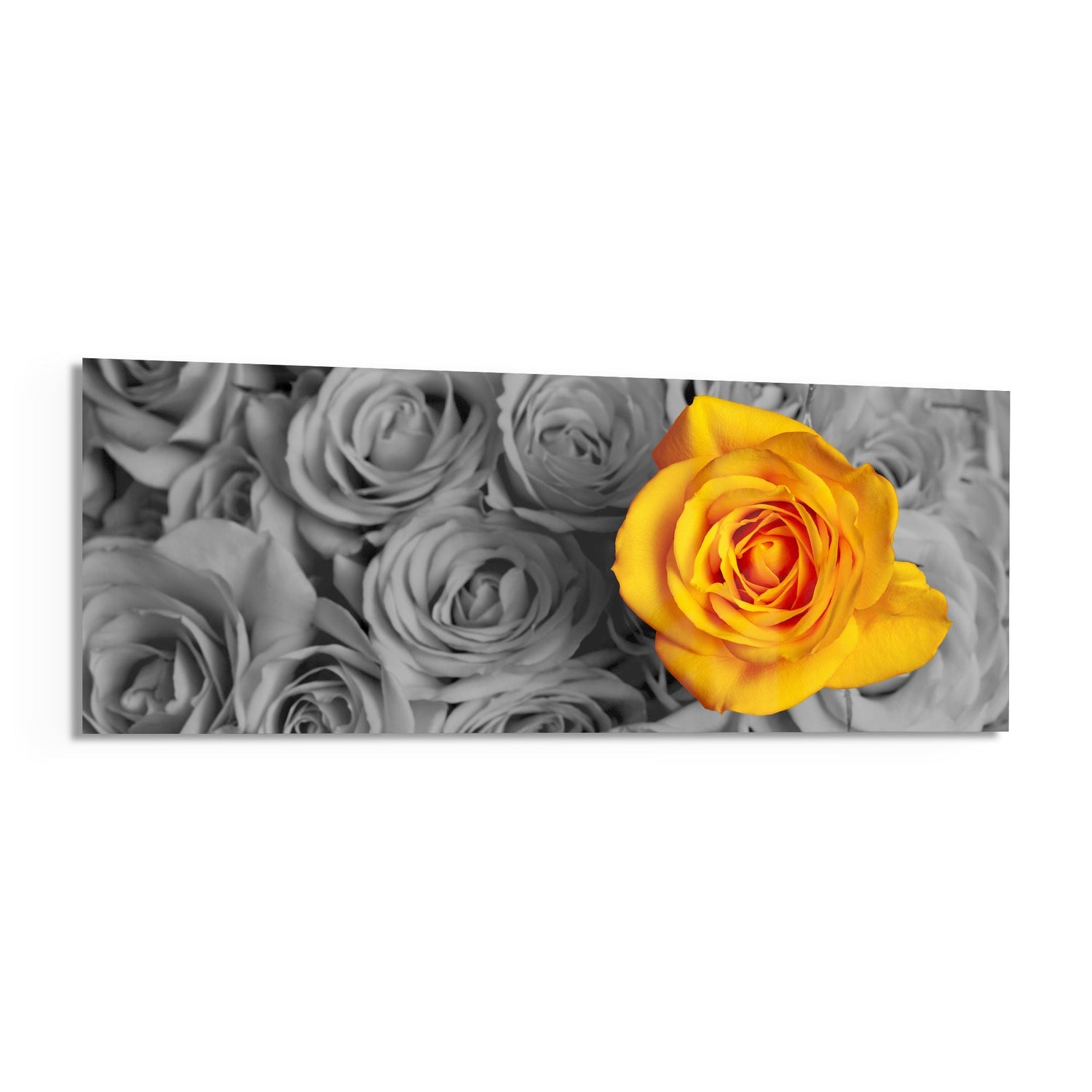 Yellow Rose Glass Wall Art (36"x14")