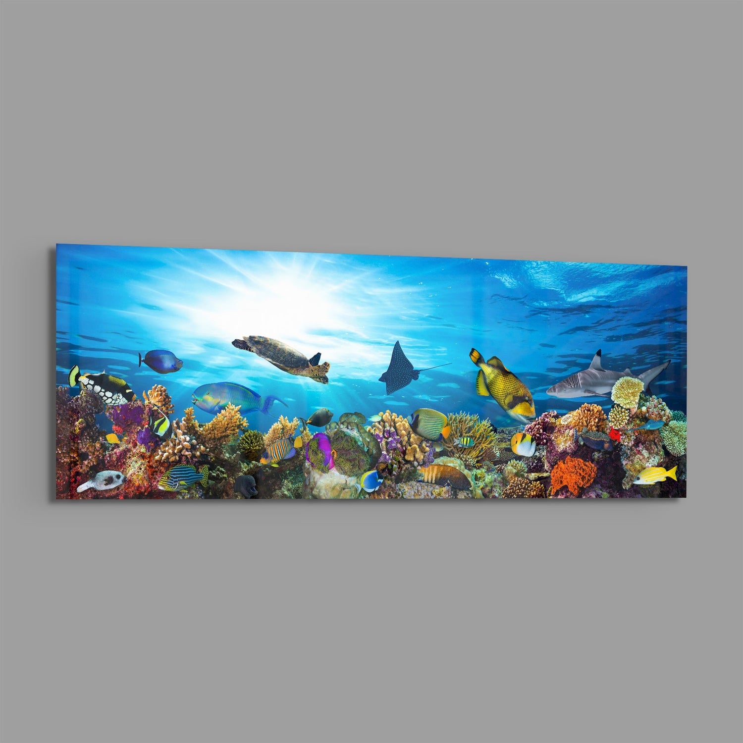 Coral Reef Turtle Underwater Sea Glass Wall Art