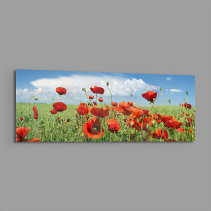 Poppy Flower Glass Wall Art (36"x14")