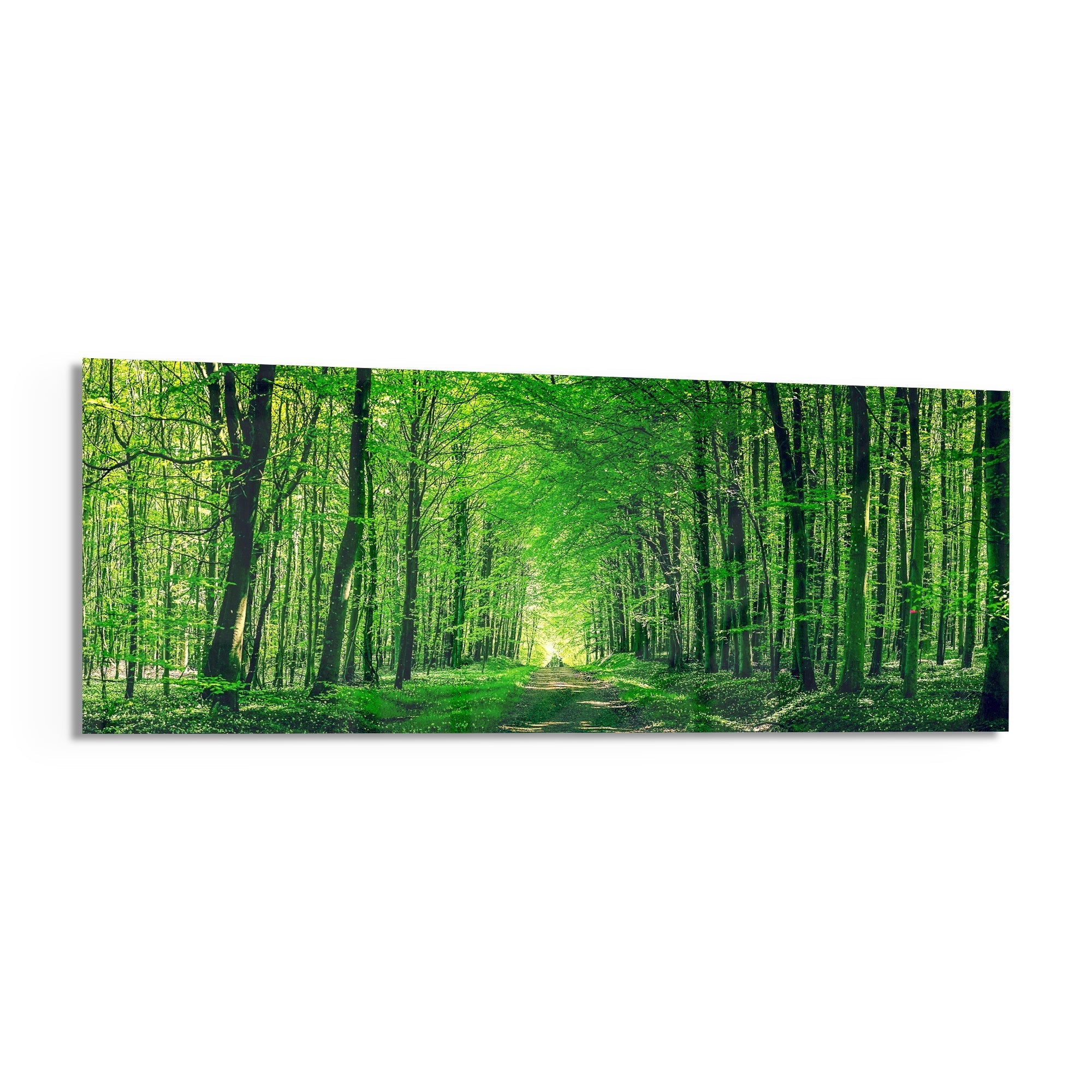 Leafy Tunnel Woodland Path Glass Wall Art