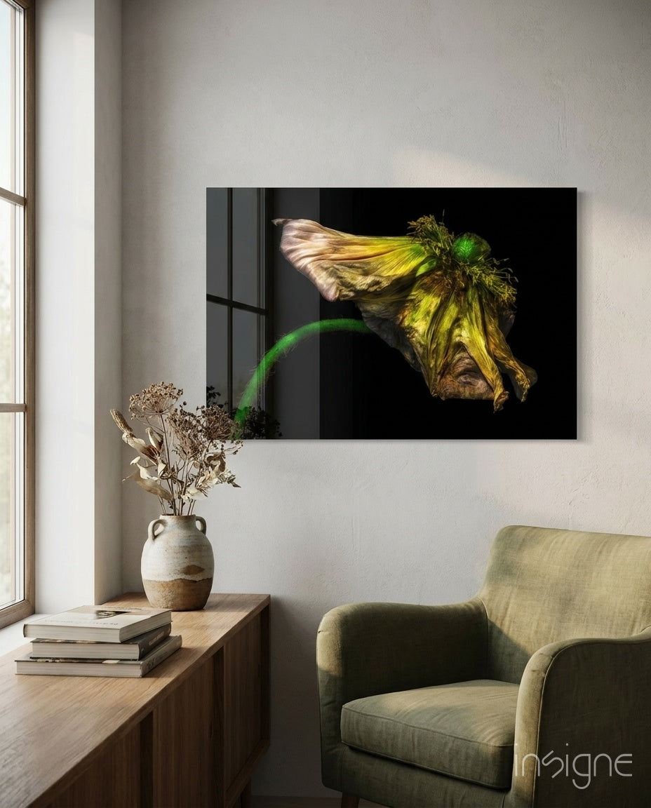 Wilting Yellow Poppy Glass Wall Art