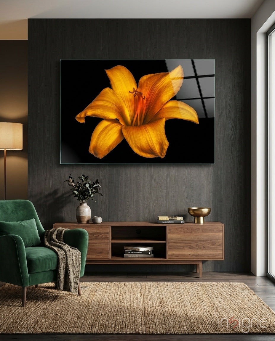 Golden Orange Lily On Black Glass Wall Art