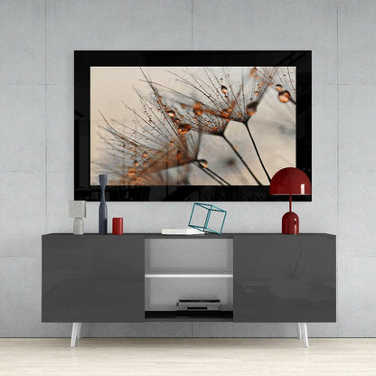 Backlit Dandelion Seed Macro Glass Wall Art
