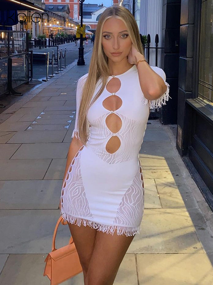 Cut Out Sexy Zebra Mesh Transparent Women&