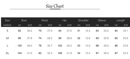 Spring Vintage Perspective Floral Print Dress Women Long Sleeve Chiffon A Line Mini Dress Vestidos