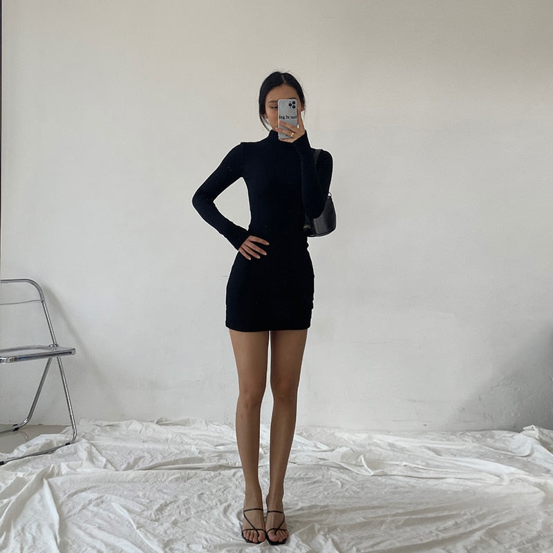 Spring Autumn Fashion Turtleneck Skinny Mini Dress Women Rib Knit Keep Warm Long Sleeve Dress