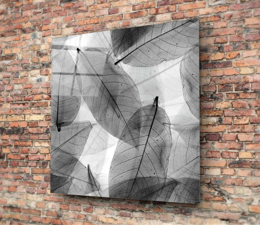 Black and White Leaves Glass Wall Art