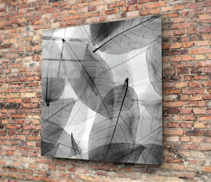 Black and White Leaves Glass Wall Art