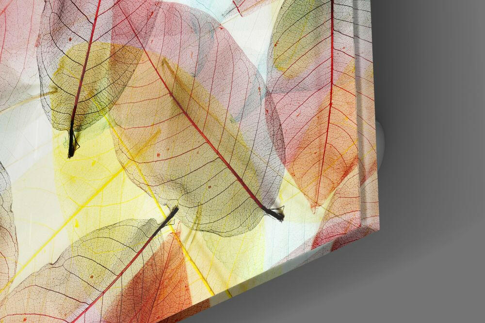 Translucent Skeleton Leaves Warm Glow Glass Wall Art