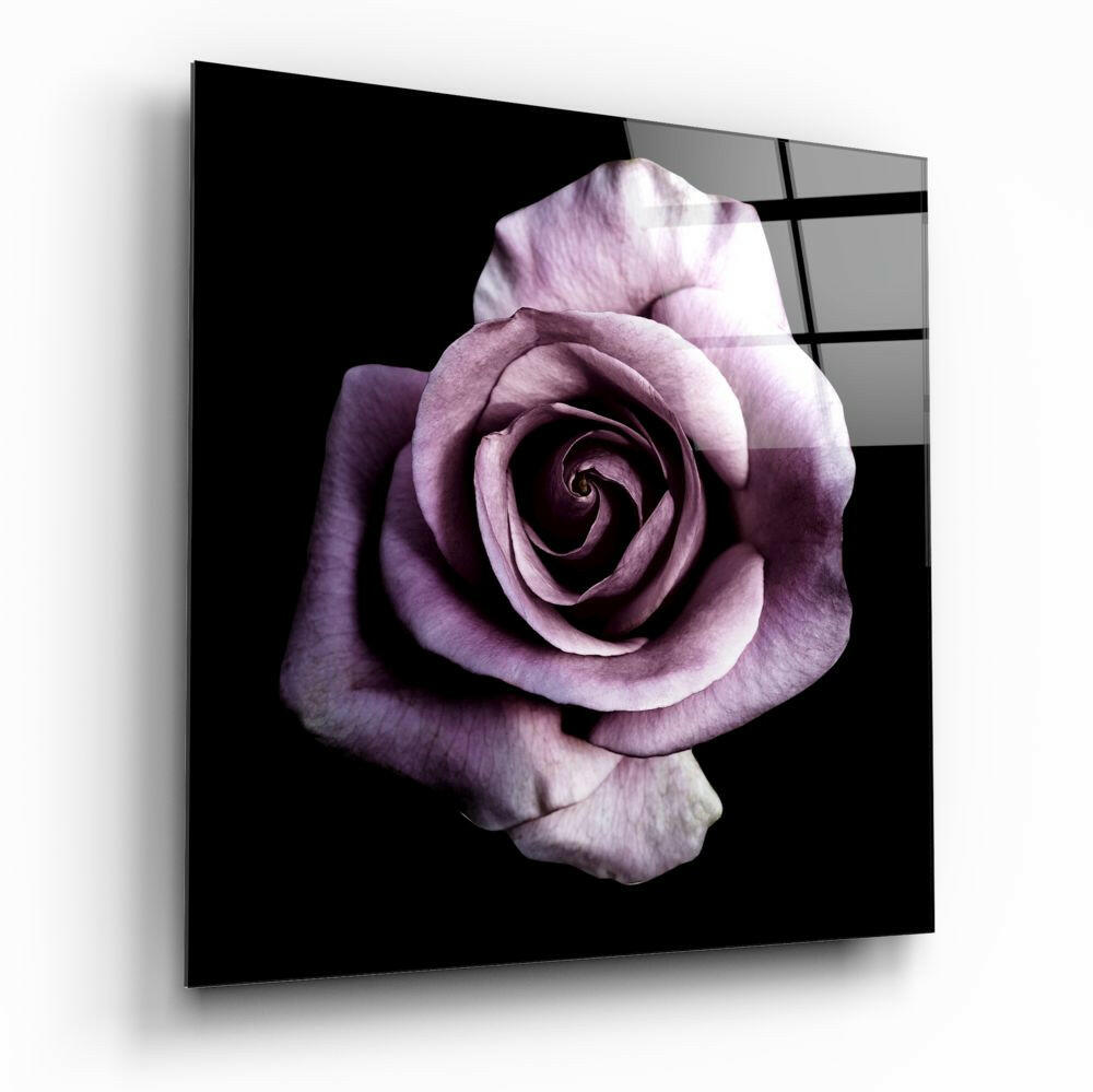 Single Lilac Rose On Black Glass Wall Art