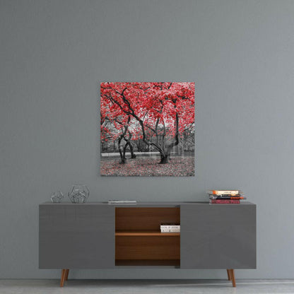 Red Blossom Park Grove Glass Wall Art