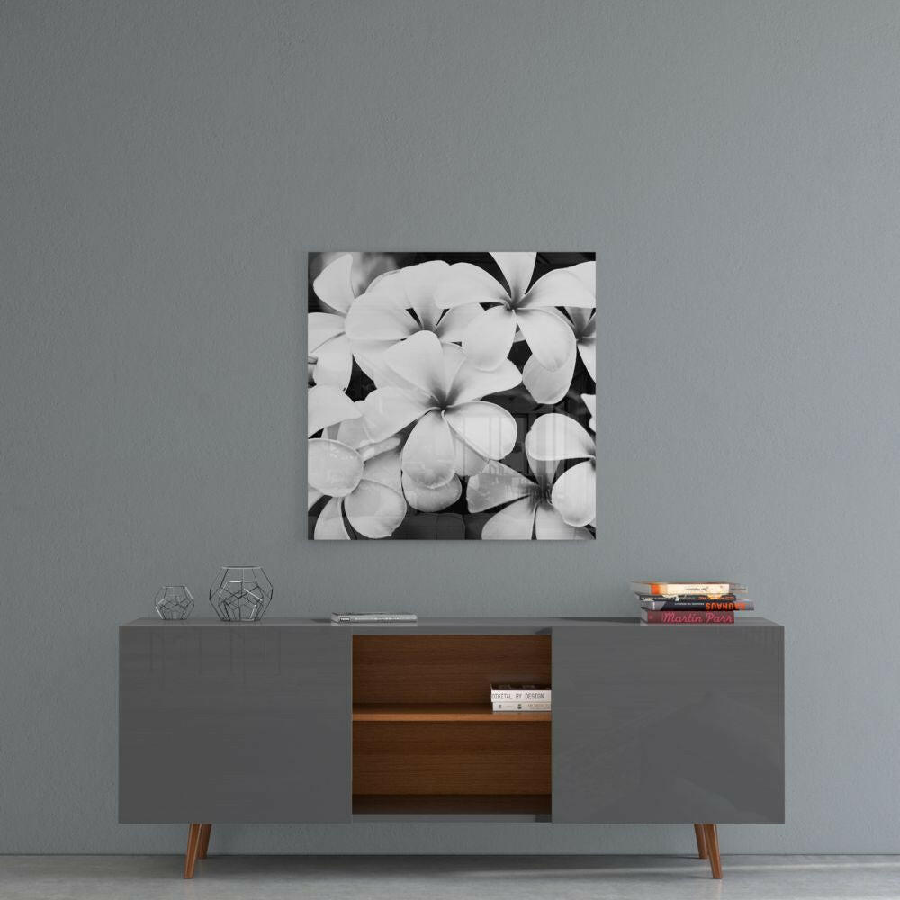 White Frangipani Blooms Monochrome Glass Wall Art