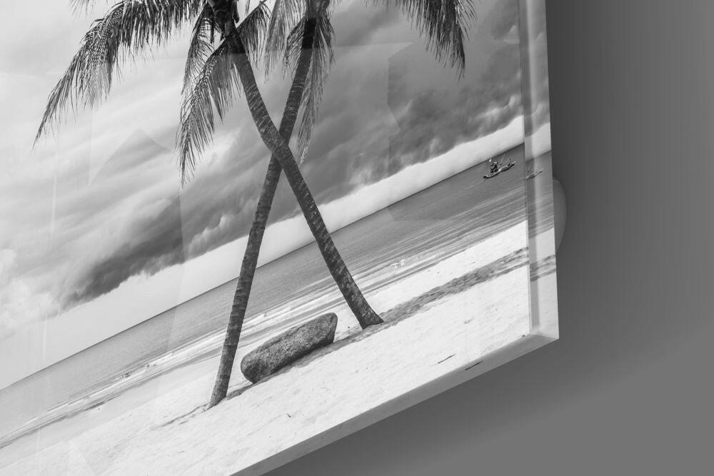 Crossed Trunks Monochrome Palm Trees Glass Wall Art