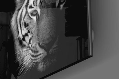 Shadowed Monochrome Tiger Glass Wall Art