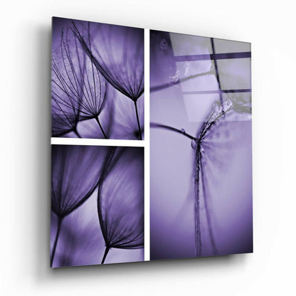 Purple Dandelion Triptych Glass Wall Art