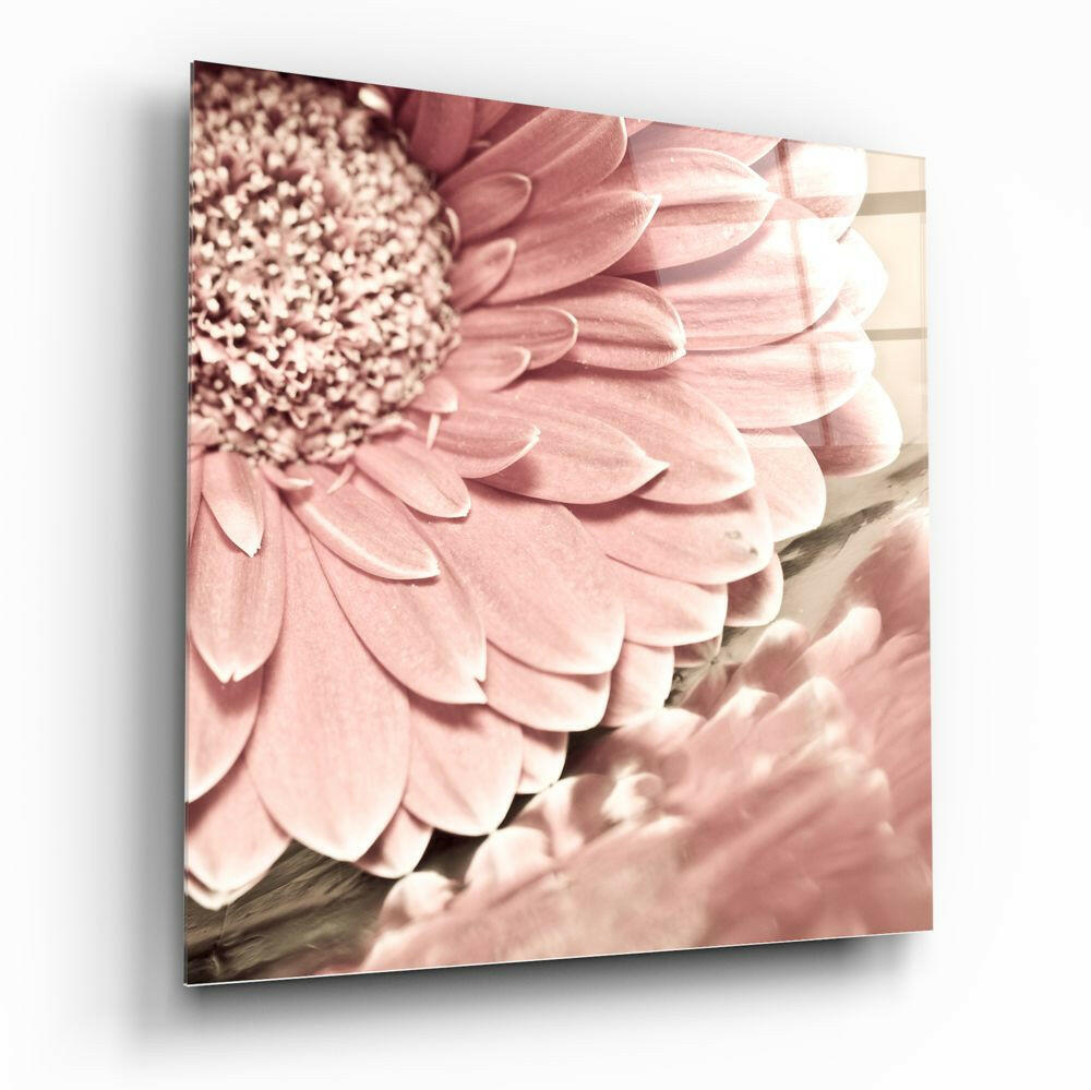Soft Pink Gerbera Daisy Macro Flower Glass Wall Art
