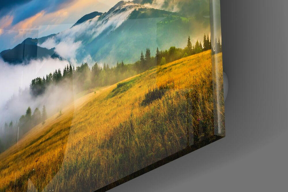 Misty Pine Ridge Golden Meadow Glass Wall Art