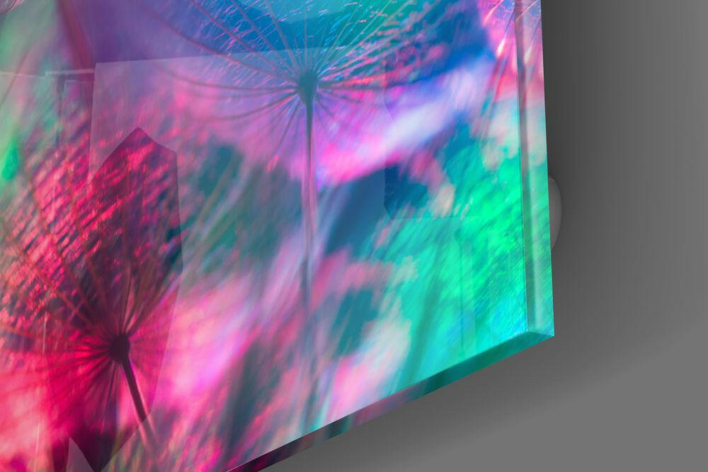 Rainbow Dandelion Seed Abstract Glass Wall Art