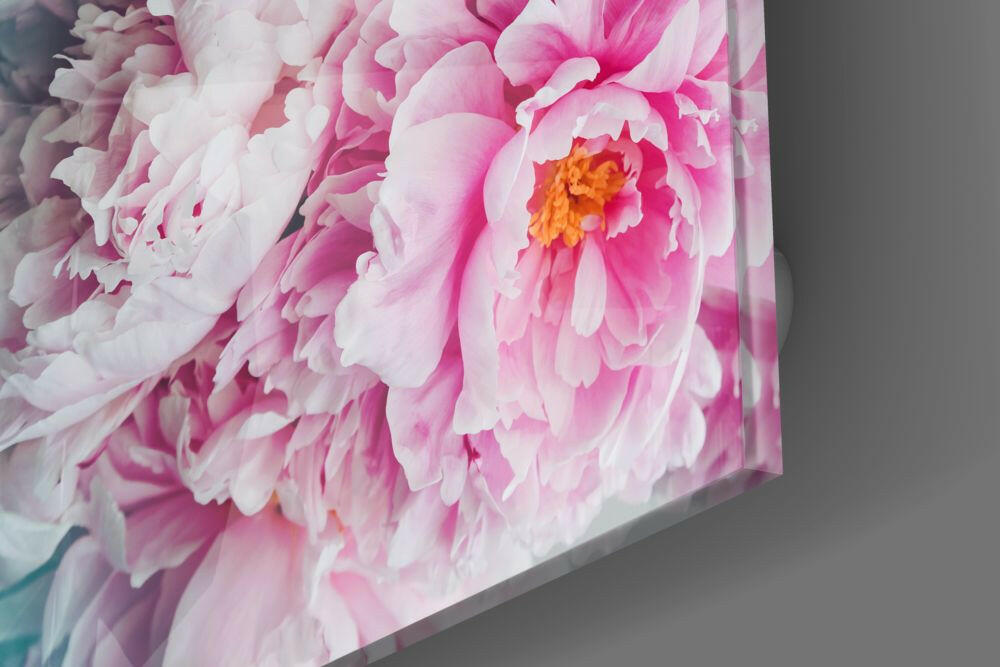 Blush Peony Teal Glass Wall Art