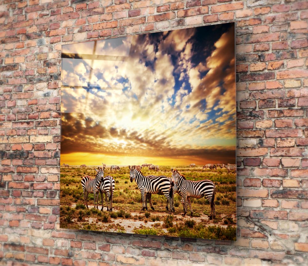 Sunset Cloudscape Zebra Herd Glass Wall Art