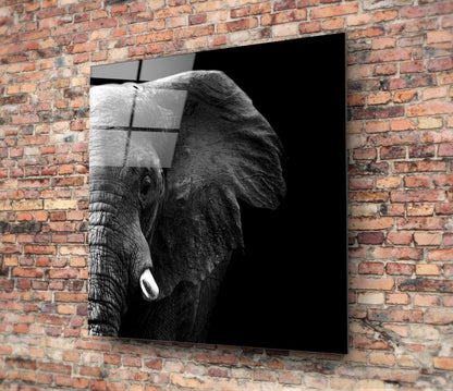 Split Light and Shadow Elephant Glass Wall Art