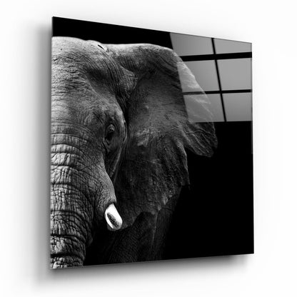 Split Light and Shadow Elephant Glass Wall Art