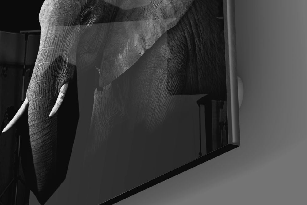 Moody Black and White Elephant Glass Wall Art