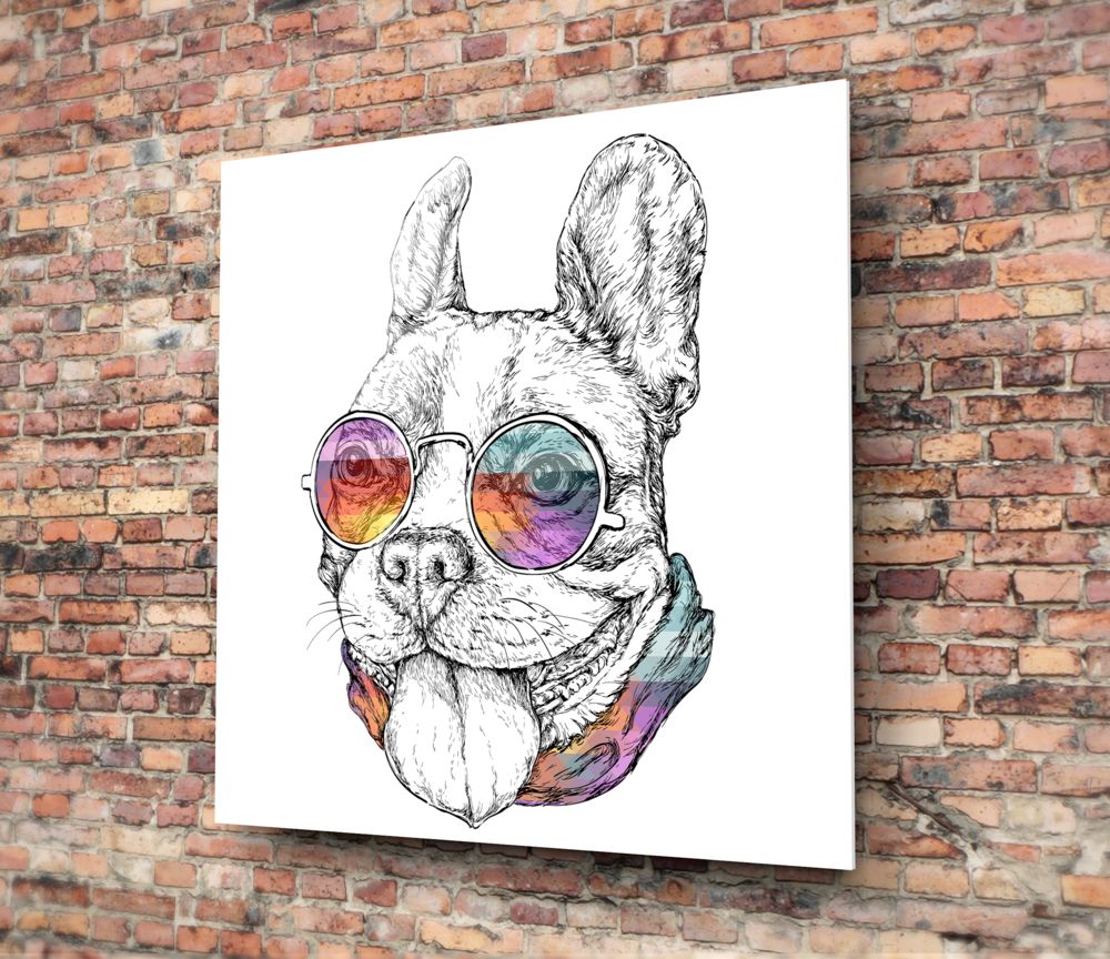 Rainbow Glasses Sketch Bulldog Glass Wall Art