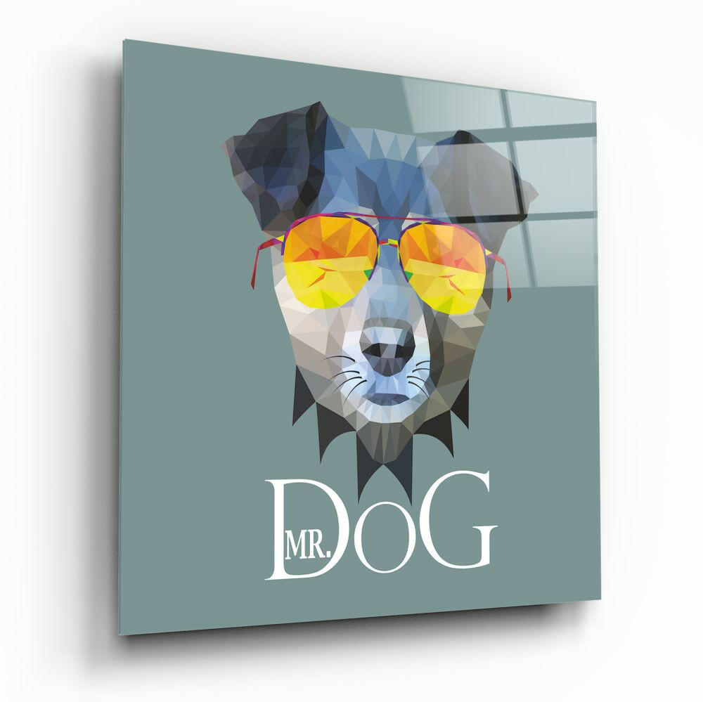 Mr Dog Geometric Sunglasses Glass Wall Art
