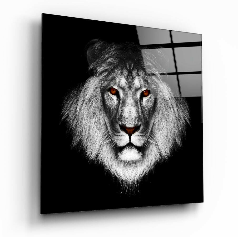 Amber Eyed Black White Lion Glass Wall Art
