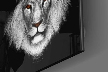 Amber Eyed Black White Lion Glass Wall Art