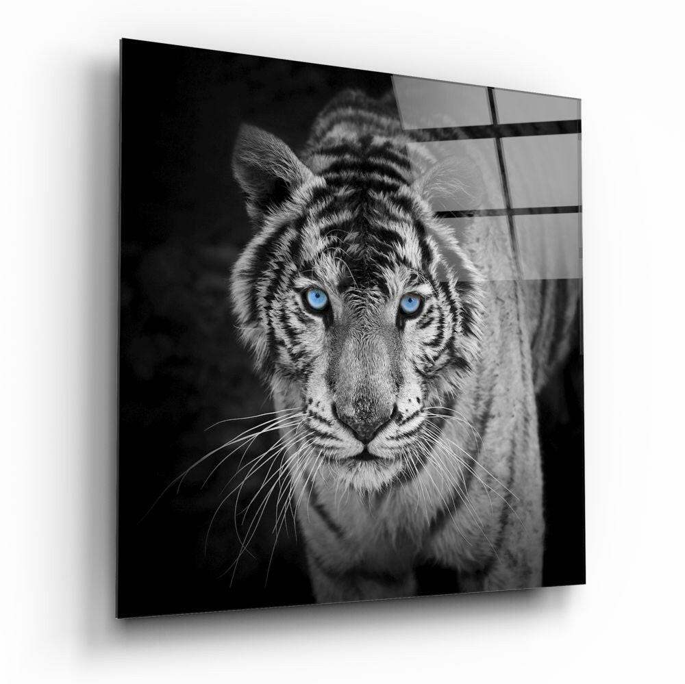 Blue Eyed White Tiger Glass Wall Art