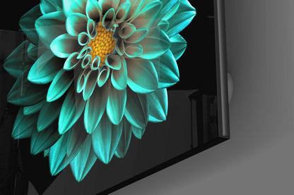 Aqua Dahlia With Gold Center Glass Wall Art
