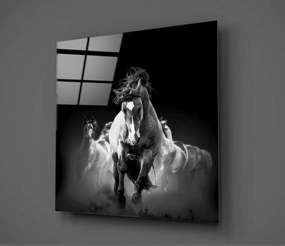 Galloping White Horse Herd Glass Wall Art