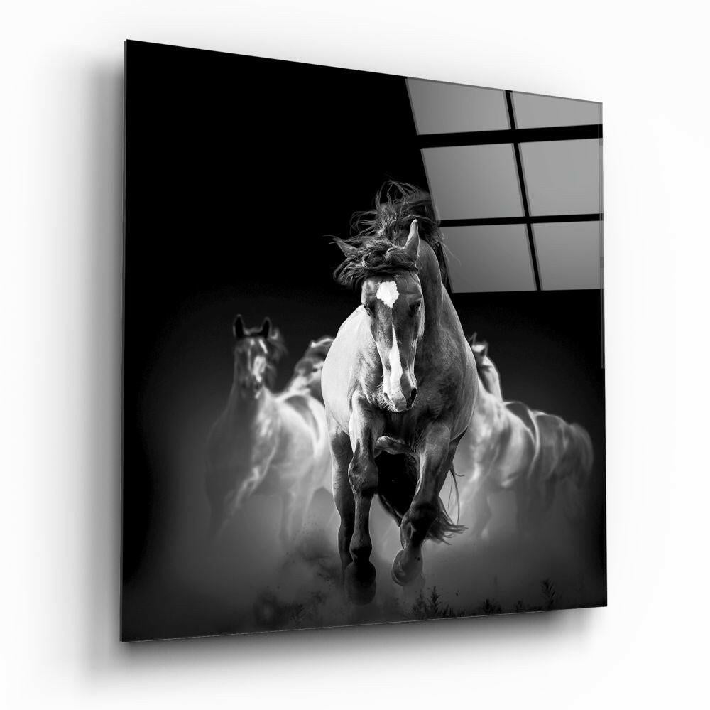 Galloping White Horse Herd Glass Wall Art