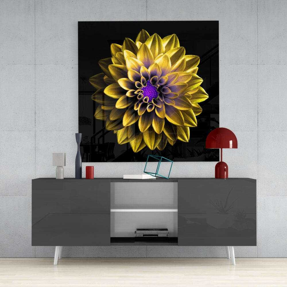 Purple Centered Yellow Dahlia Flower Glass Wall Art
