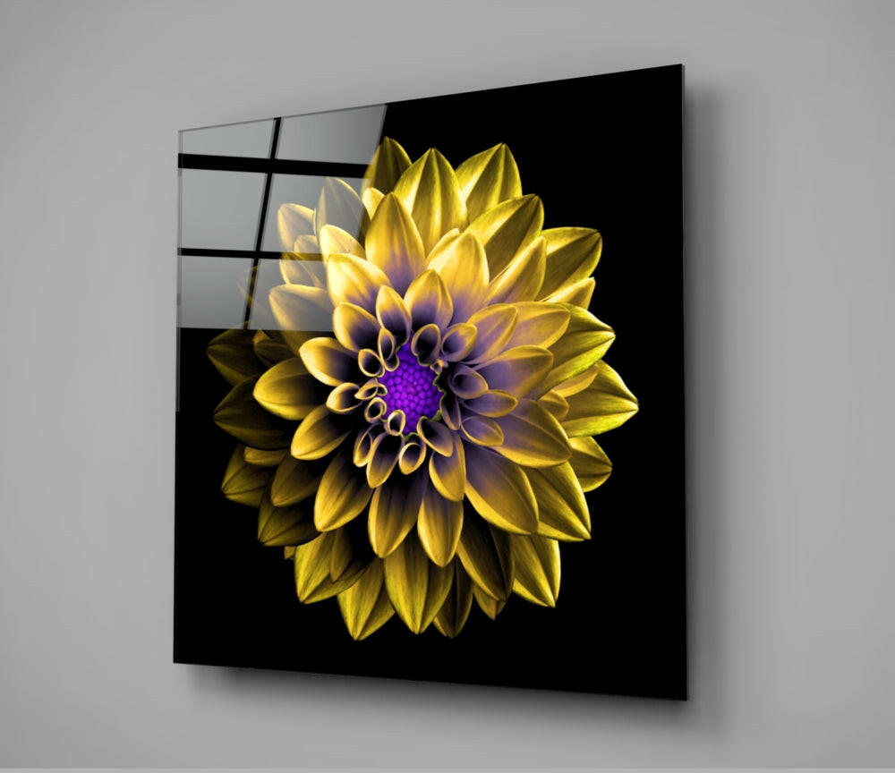 Purple Centered Yellow Dahlia Flower Glass Wall Art