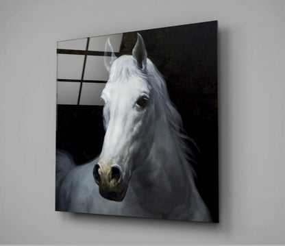 White Stallion Head Portrait Glass Wall Art